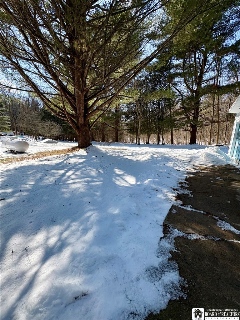 6070 Wiery Road Chautauqua, NY 14757 - Photo 35 of 48