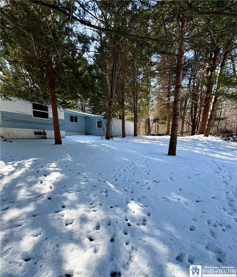6070 Wiery Road Chautauqua, NY 14757 - Photo 38 of 48