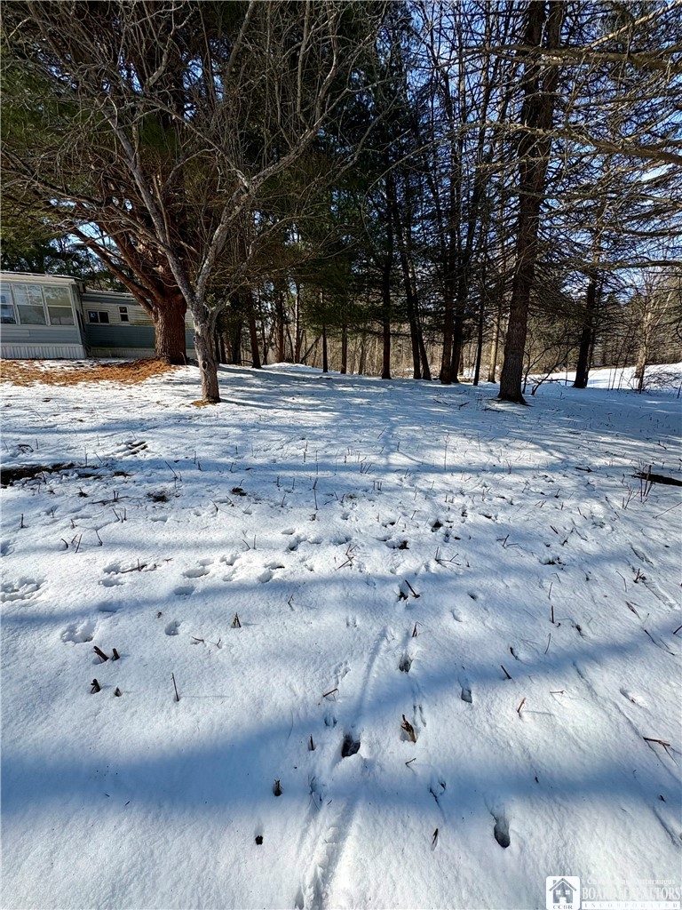 6070 Wiery Road Chautauqua, NY 14757 - Photo 41 of 48