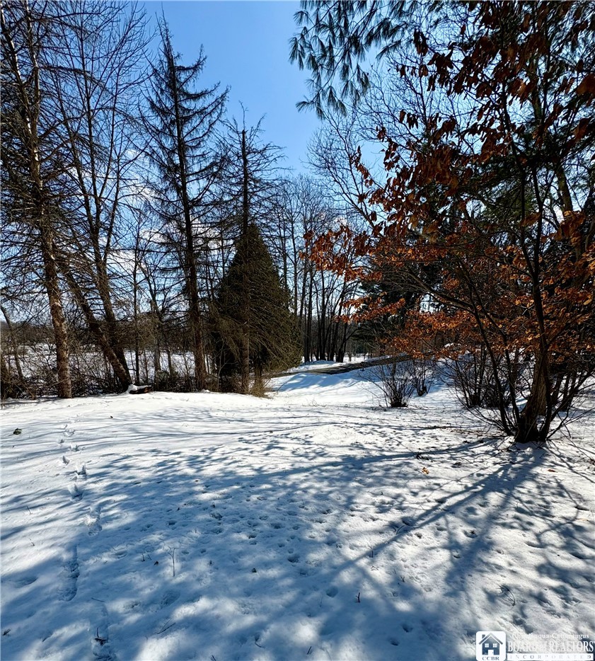 6070 Wiery Road Chautauqua, NY 14757 - Photo 44 of 48