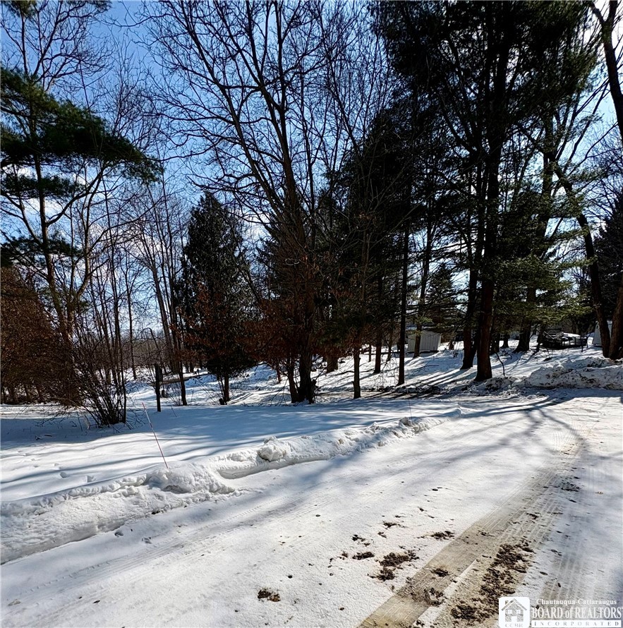 6070 Wiery Road Chautauqua, NY 14757 - Photo 46 of 48