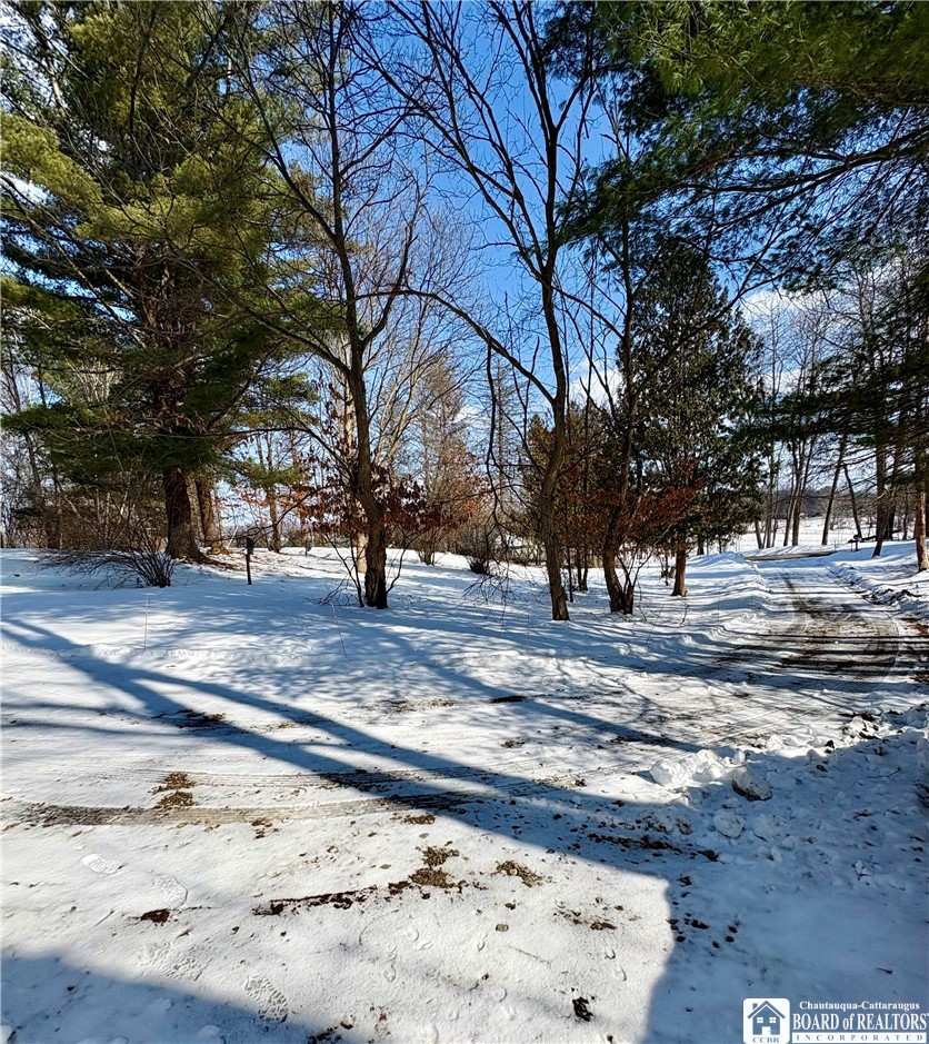 6070 Wiery Road Chautauqua, NY 14757 - Photo 47 of 48