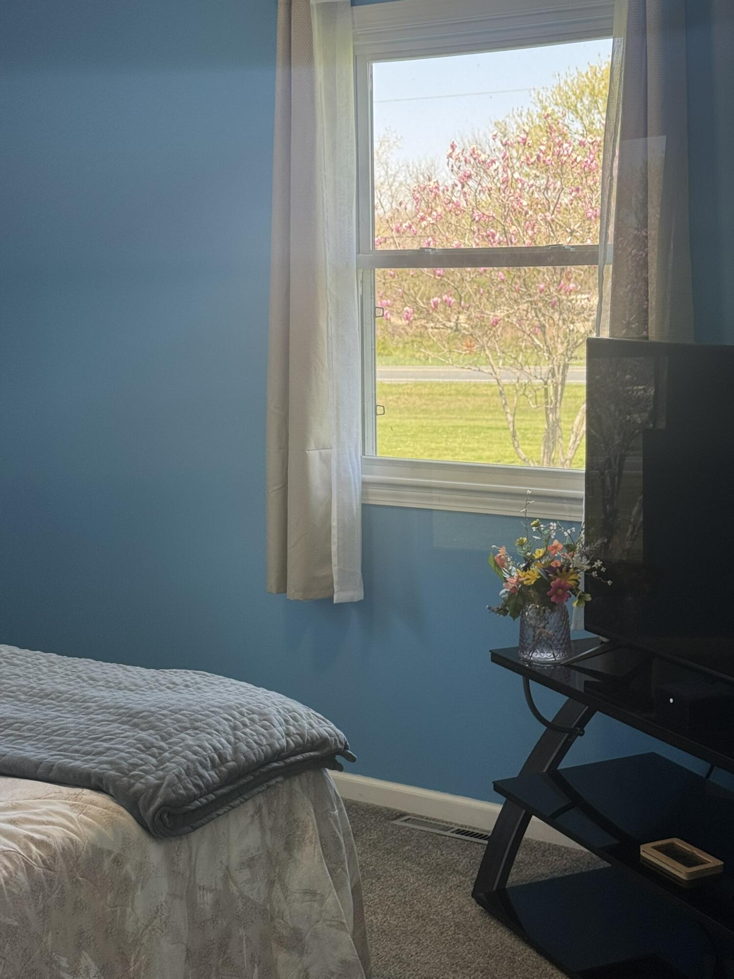 1535 West Kinley Road St. Johns, MI 48879 - Photo 21 of 41 IMG_3670