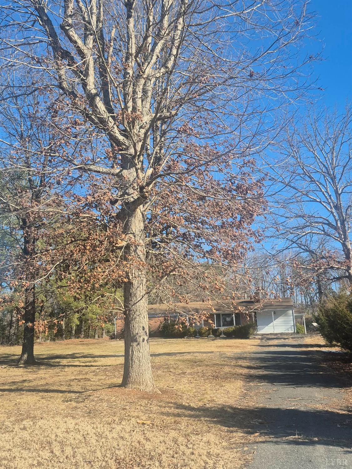 123 Elmwood Lane Rustburg, VA 24588 - Photo 3 of 25 a view of a yard with large trees