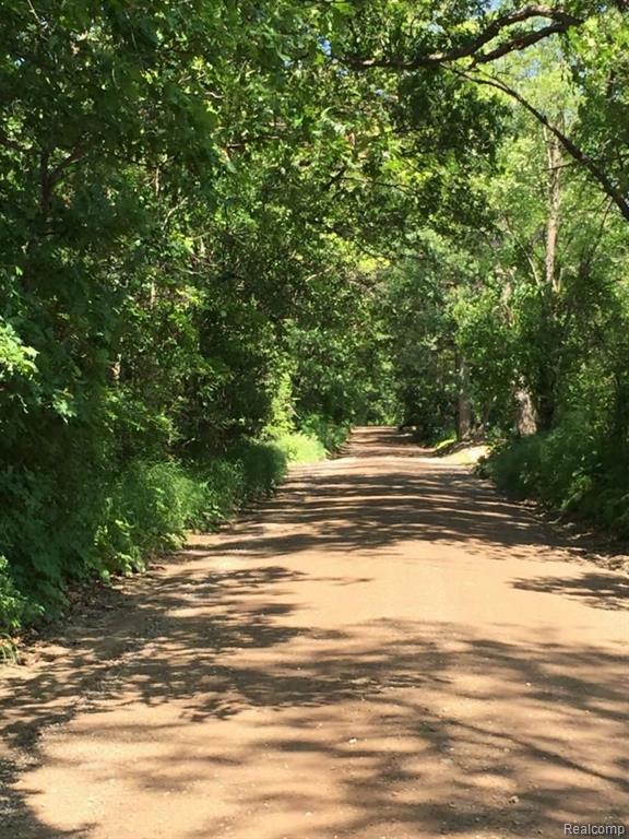Parcel B Parker Road Holly, MI 48442 - Photo 9 of 18