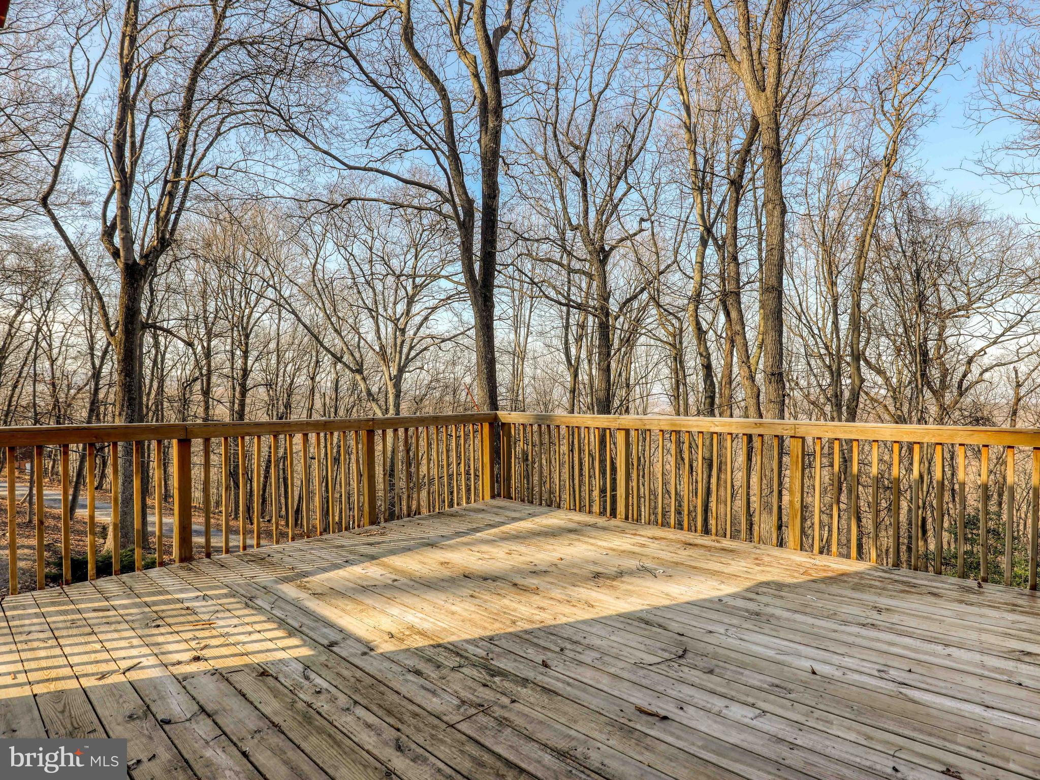 214 Bridle Path Road Front Royal, VA 22630 - Photo 33 of 41