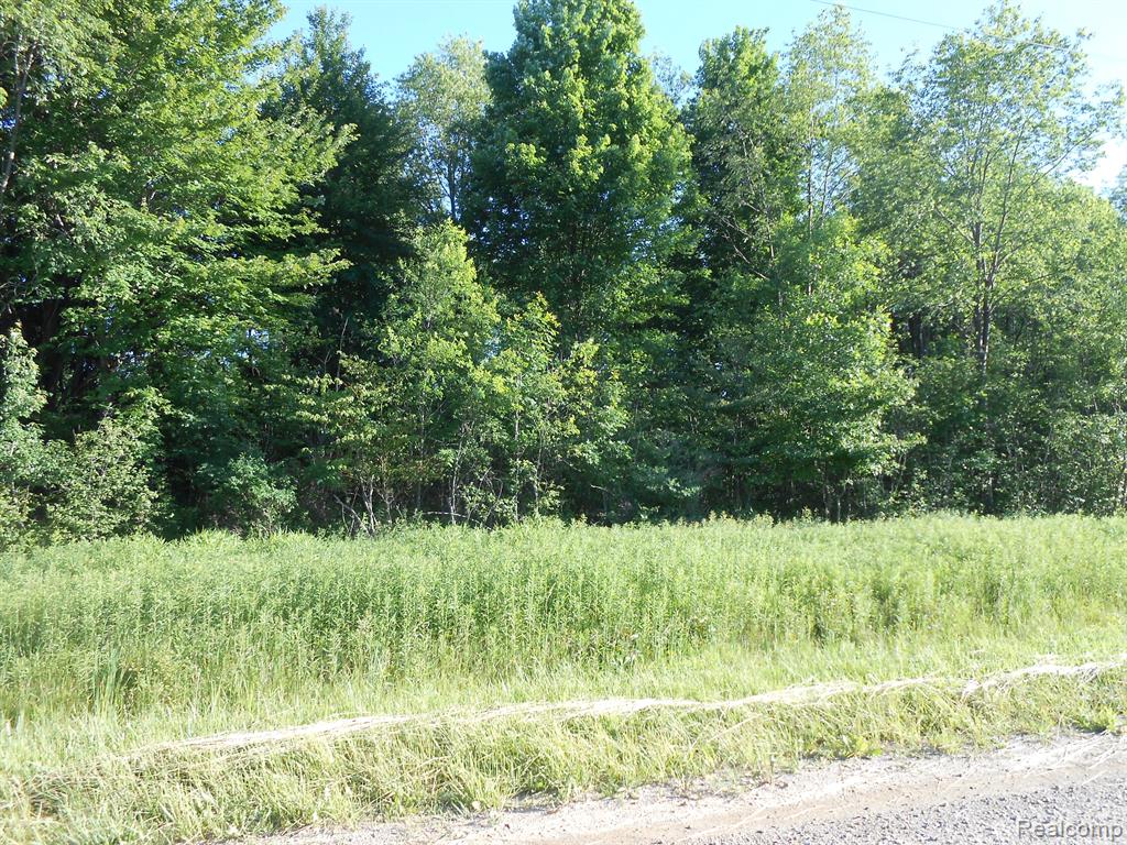 0 French Line Road Sandusky, MI 48471 - Photo 2 of 25