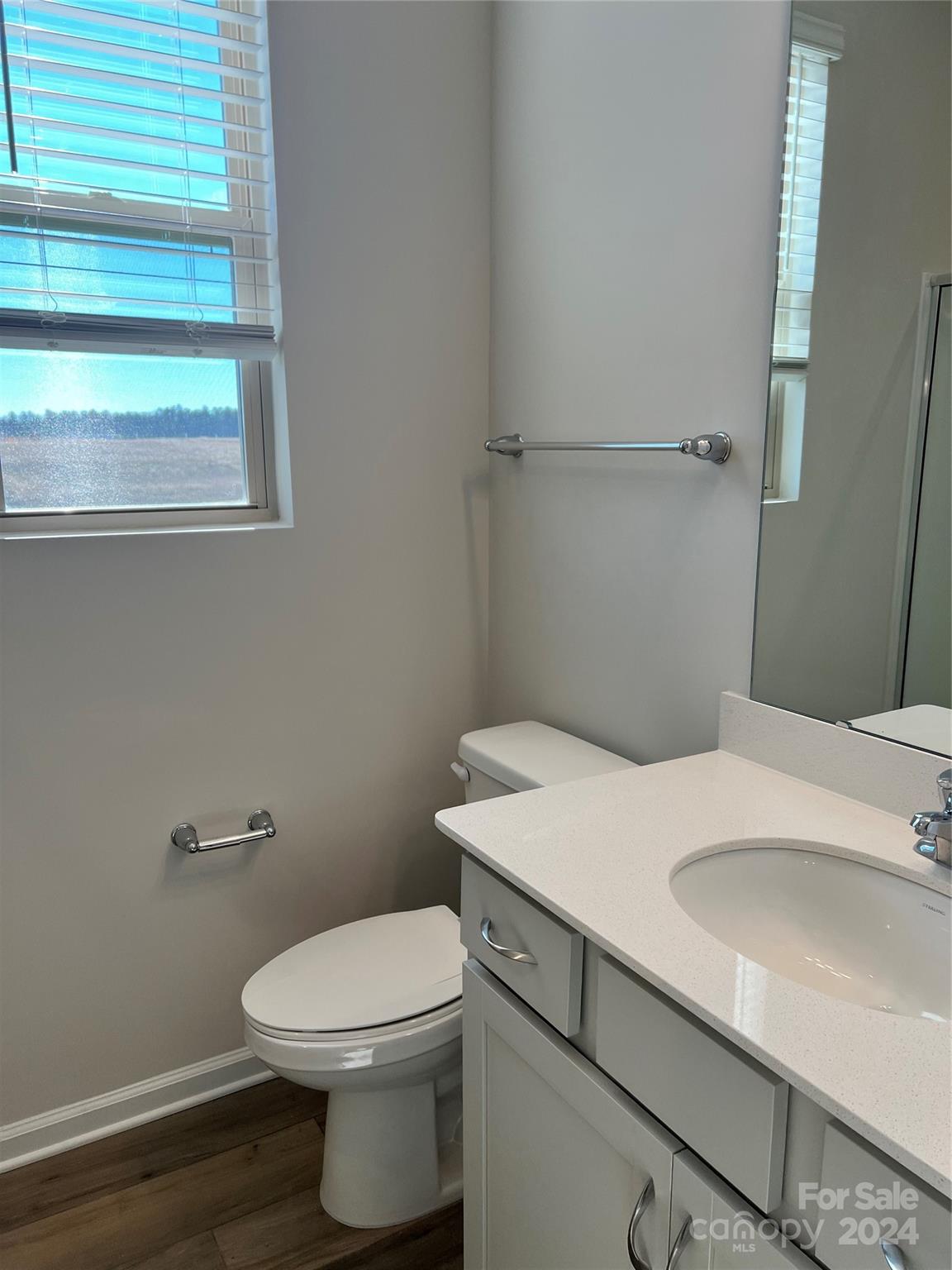 2541 Crimson Way Monroe, NC 28112 - Photo 7 of 22 a bathroom with a sink a toilet and a window