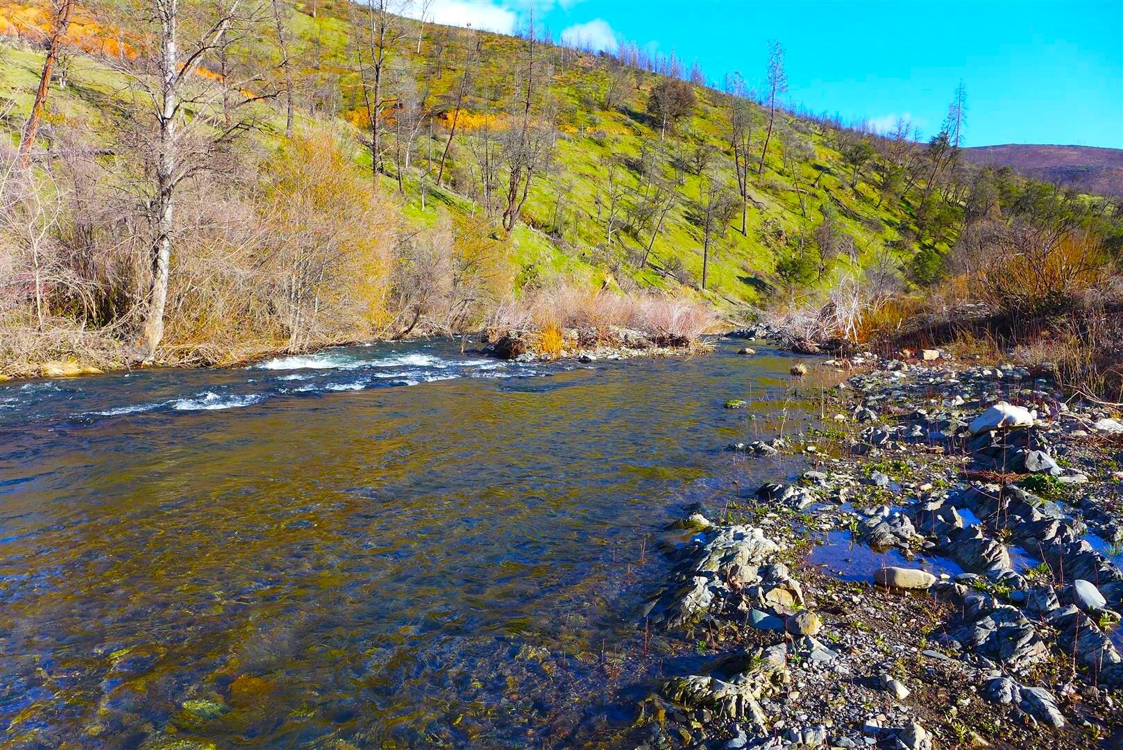 0 Trinity Mountain Road French Gulch, CA 96033 - Photo 14 of 30 a view of lake