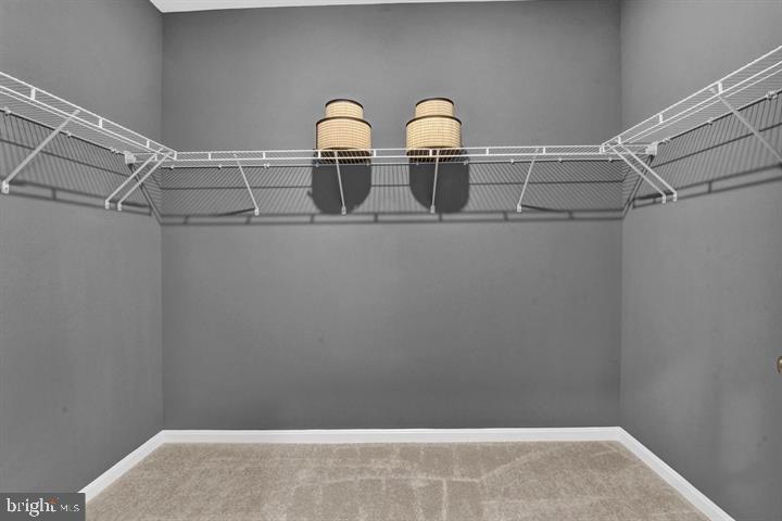 491 Hanson Street Frederick, MD 21701 - Photo 17 of 24 Spacious closet with modern shelving.