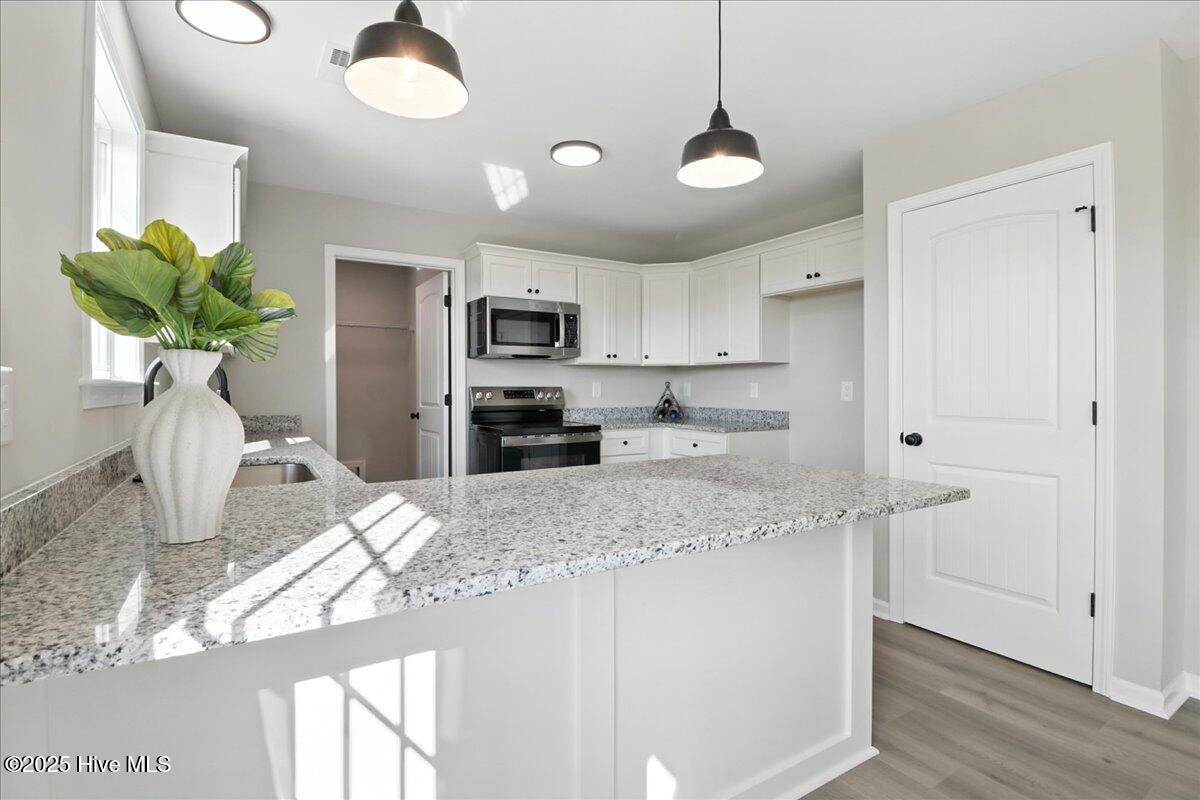 73 Grace Pond Avenue Benson, NC 27504 - Photo 12 of 28 13-73 Grace Pond Ave-13