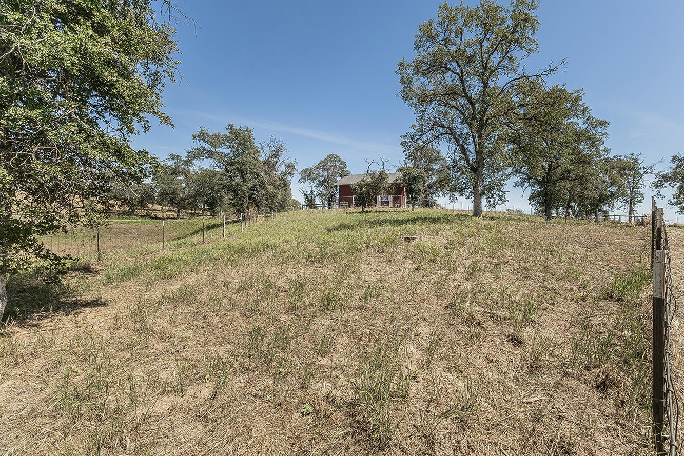 14815 Garlock Lane Prather, CA 93651 - Photo 58 of 80 a view of a yard with trees