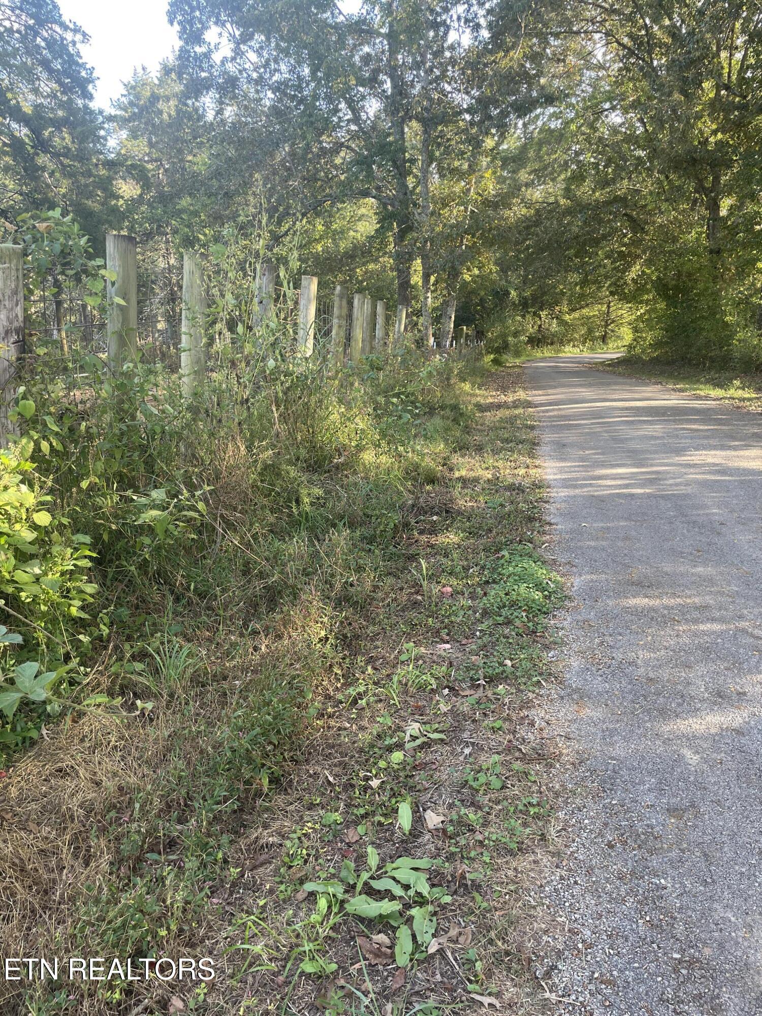 1380 Conrad Templeton Road Quebeck, TN 38579 - Photo 26 of 28 IMG_4699