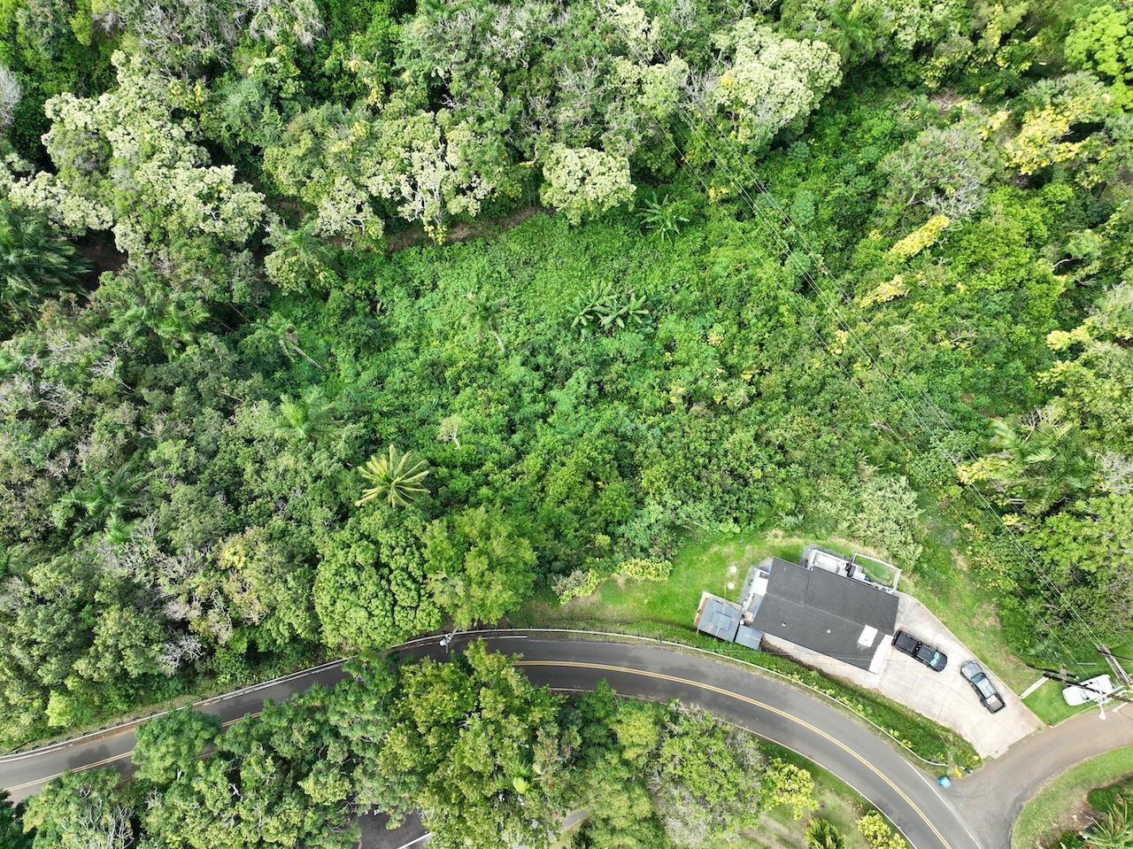1565 Haiku Road, Unit 1 Haiku, HI 96708 - Photo 19 of 26