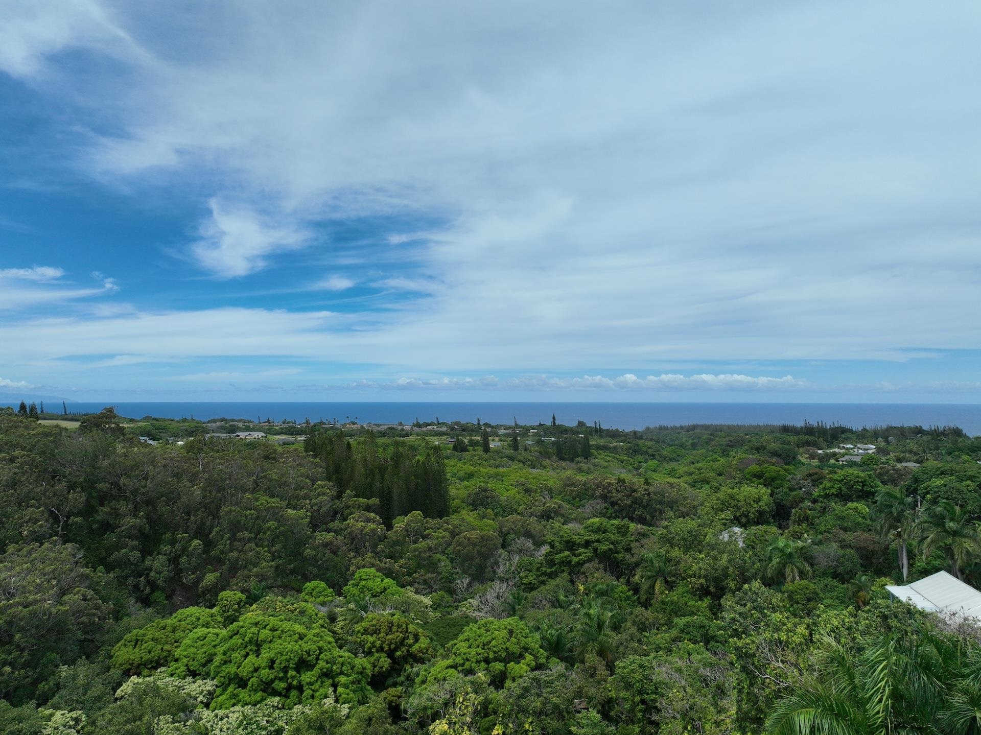 1565 Haiku Road, Unit 1 Haiku, HI 96708 - Photo 20 of 26