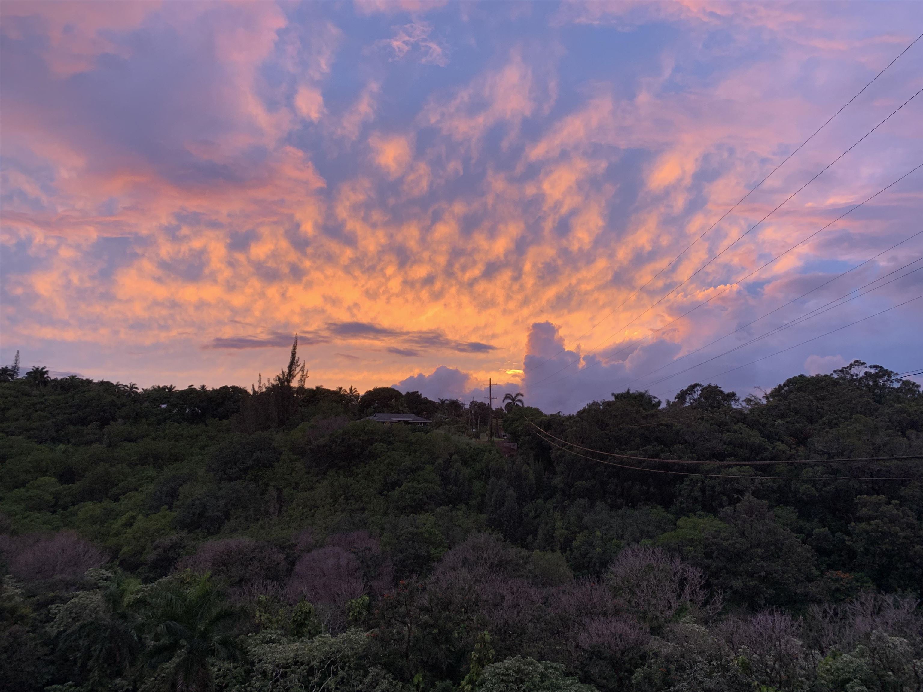 1565 Haiku Road, Unit 1 Haiku, HI 96708 - Photo 23 of 26