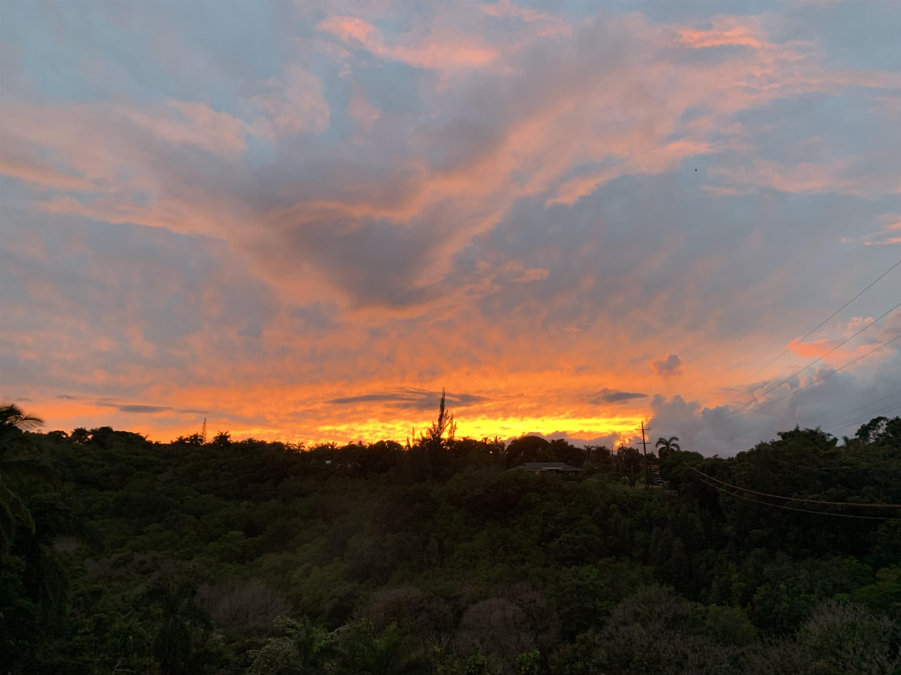 1565 Haiku Road, Unit 1 Haiku, HI 96708 - Photo 24 of 26