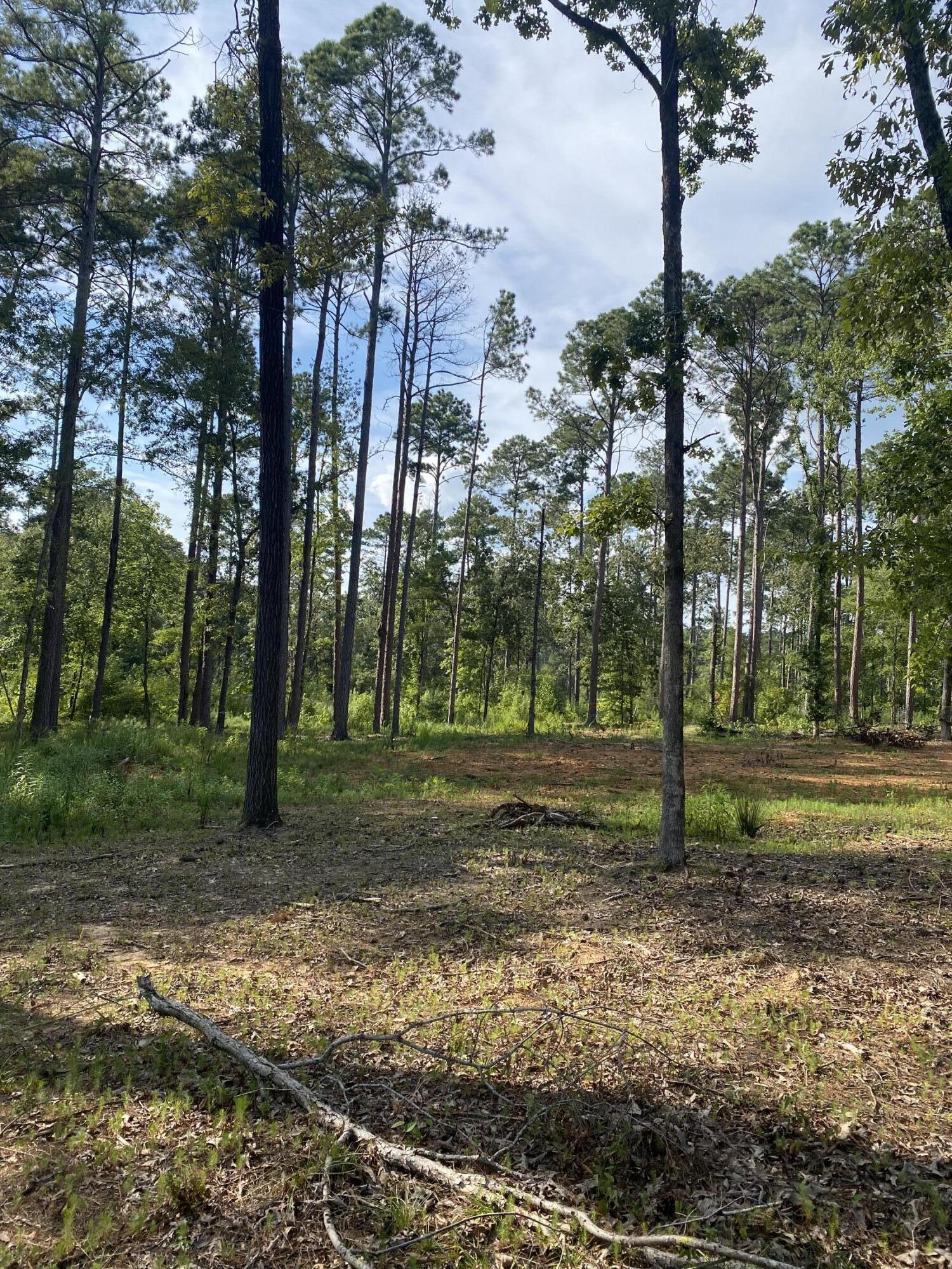 Tbd Cedar Road Plum Branch, SC 29845 - Photo 6 of 11