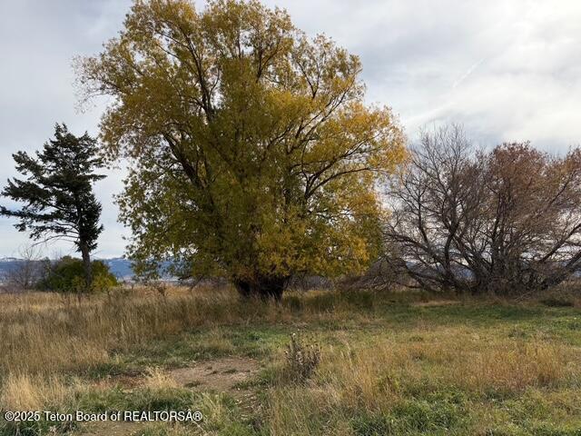 2255 South 5000 West Driggs, ID 83422 - Photo 8 of 27 IMG_4187