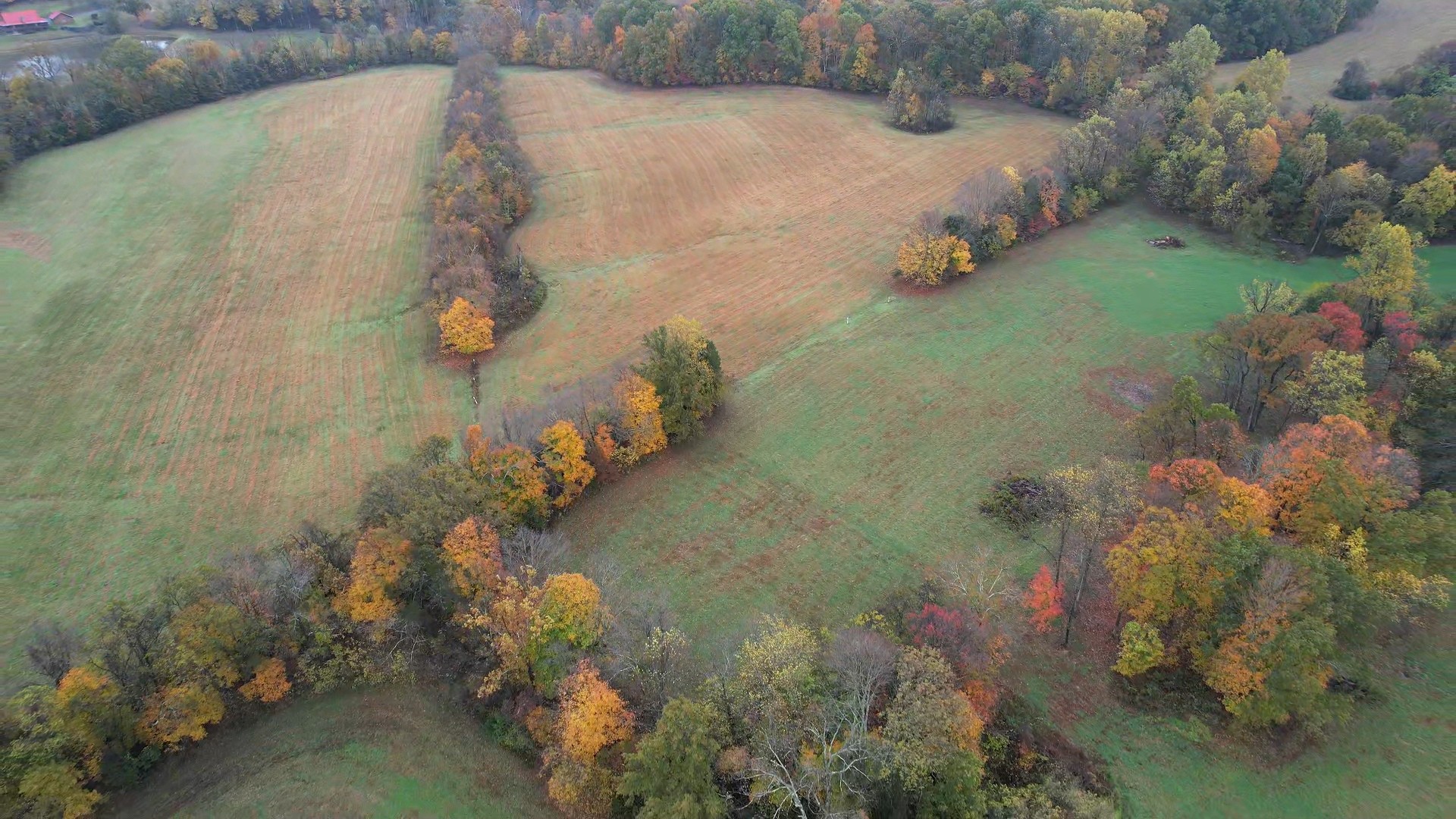 0 Calista Road Cross Plains, TN 37049 - Photo 2 of 9 a view of lake