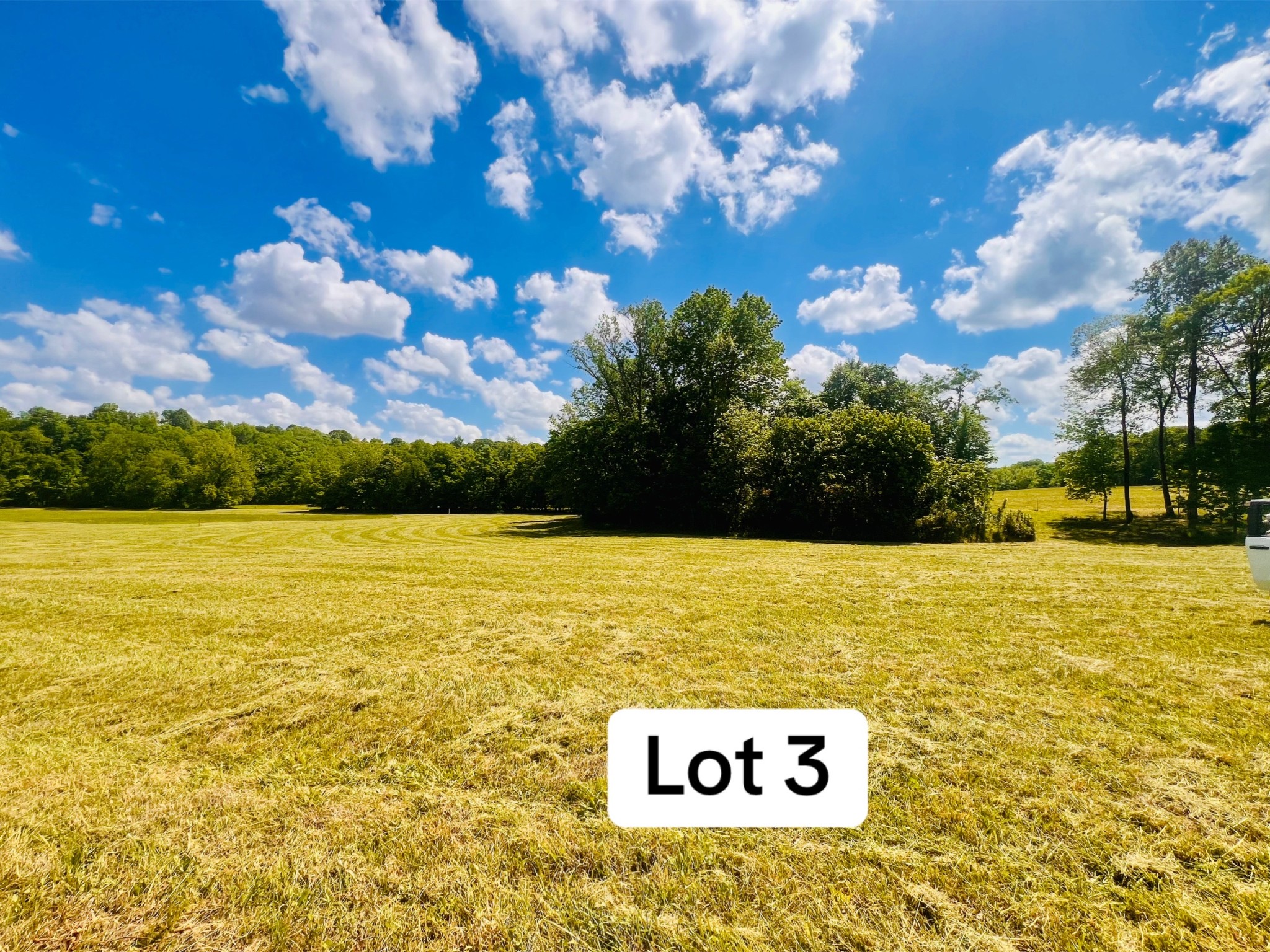 0 Calista Road Cross Plains, TN 37049 - Photo 3 of 12