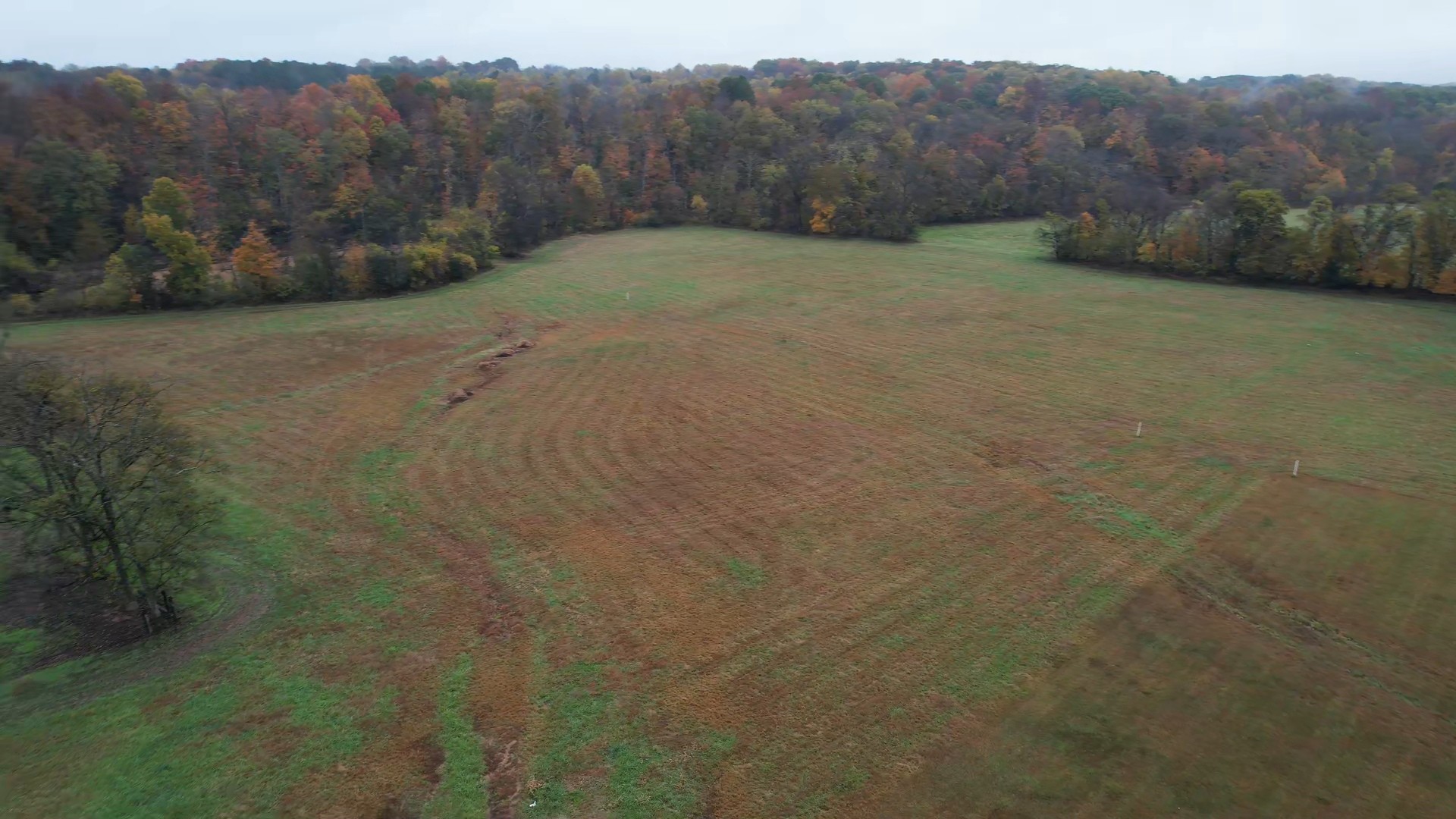 0 Calista Road Cross Plains, TN 37049 - Photo 4 of 9 a view of a backyard