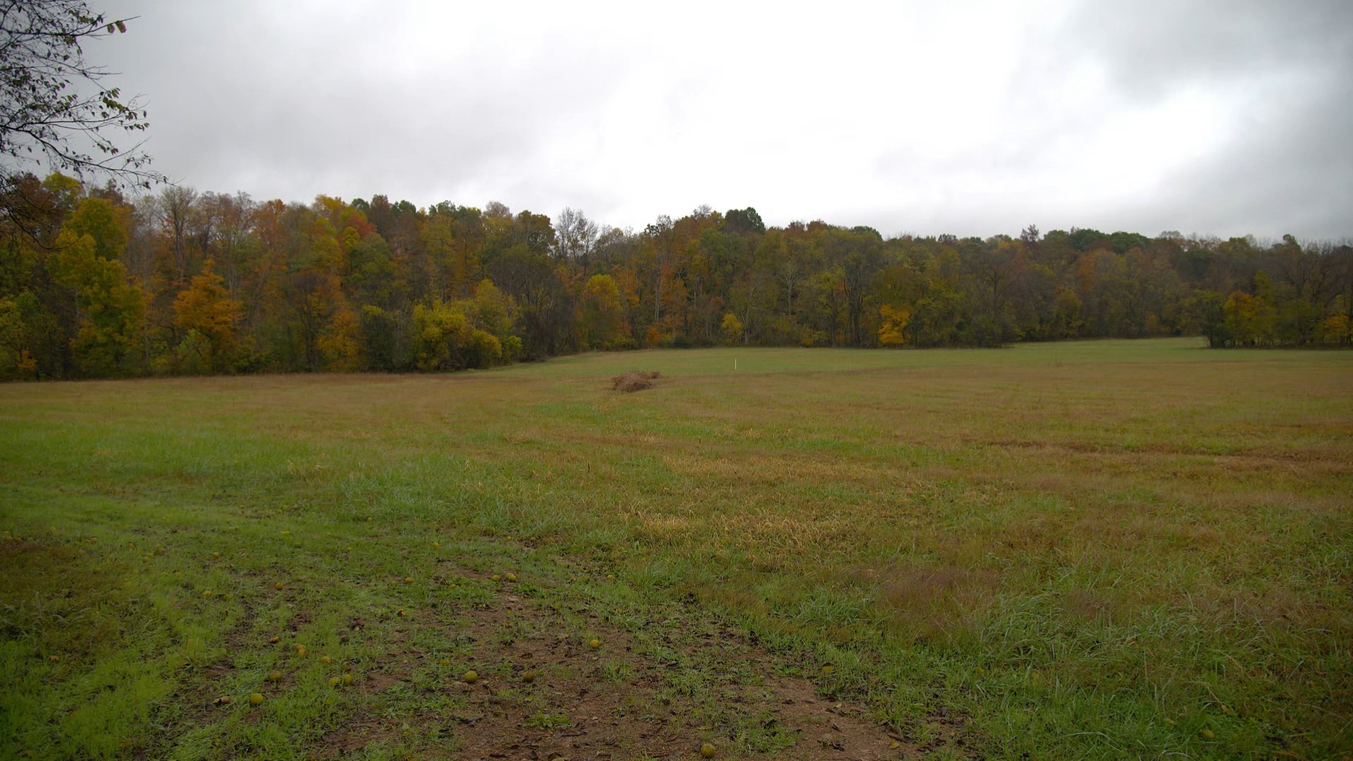0 Calista Road Cross Plains, TN 37049 - Photo 5 of 9 a view of an ocean beach and mountain