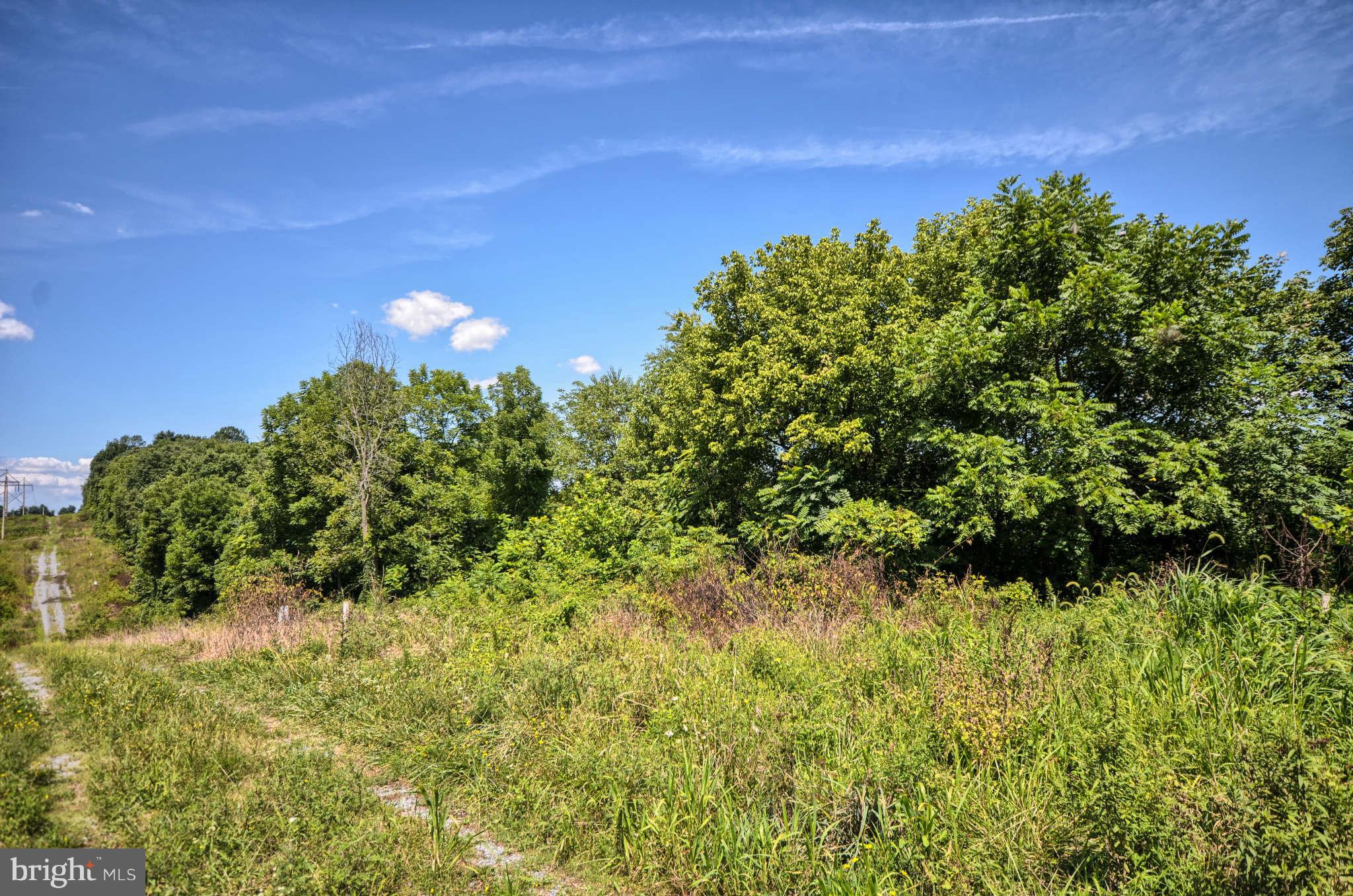 6918 New London Road New Market, MD 21774 - Photo 1 of 1 a view of a garden