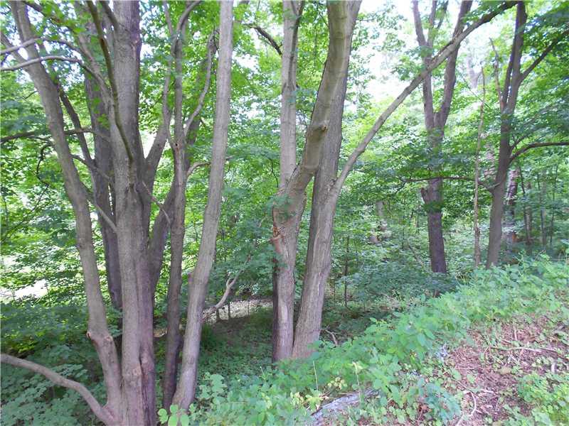 1657 Grange Road Charleroi, PA 15022 - Photo 11 of 14 Land.