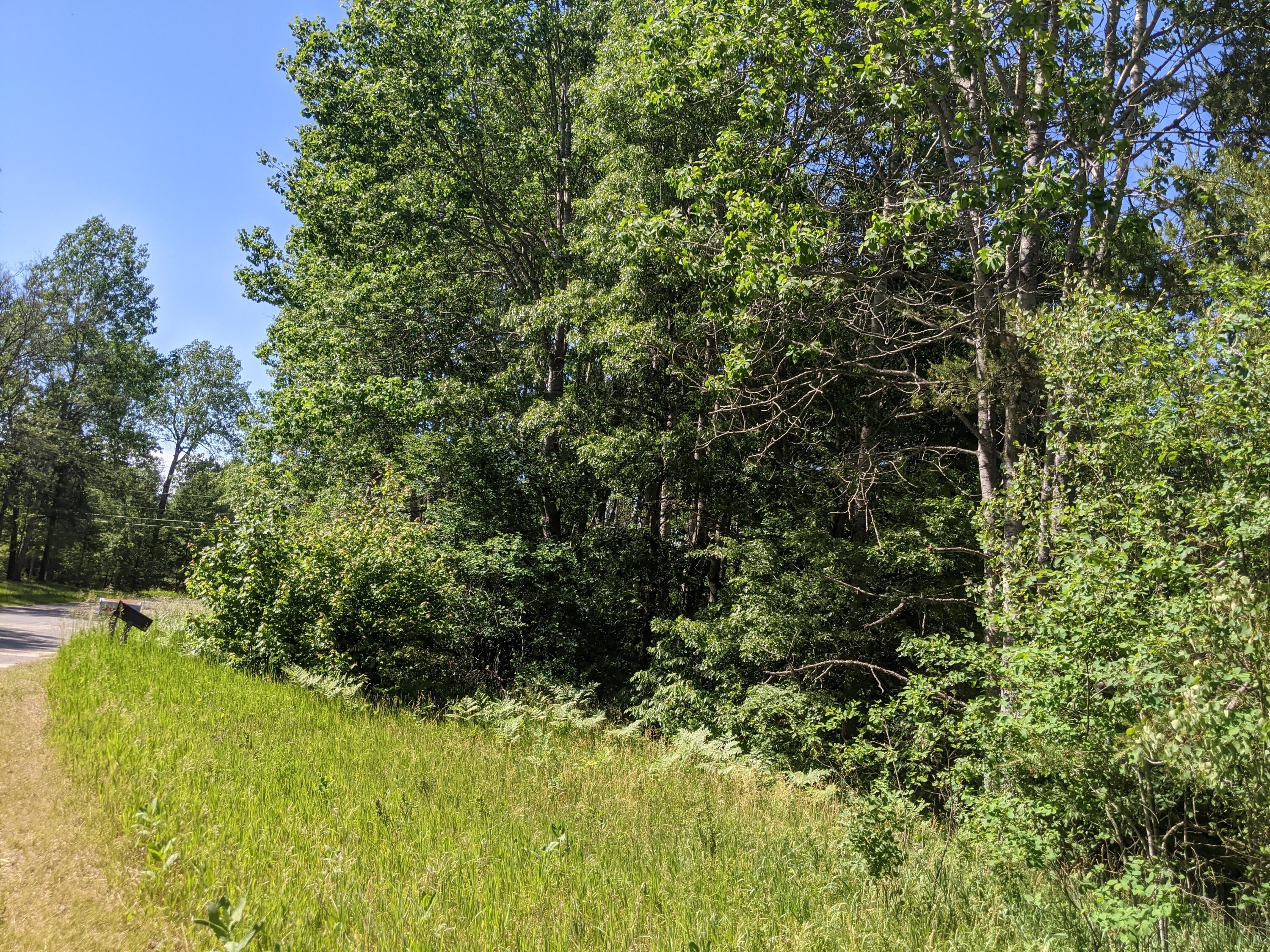 5169 Valleywood Road Lewiston, MI 49756 - Photo 111 of 111 Gallery Image 111