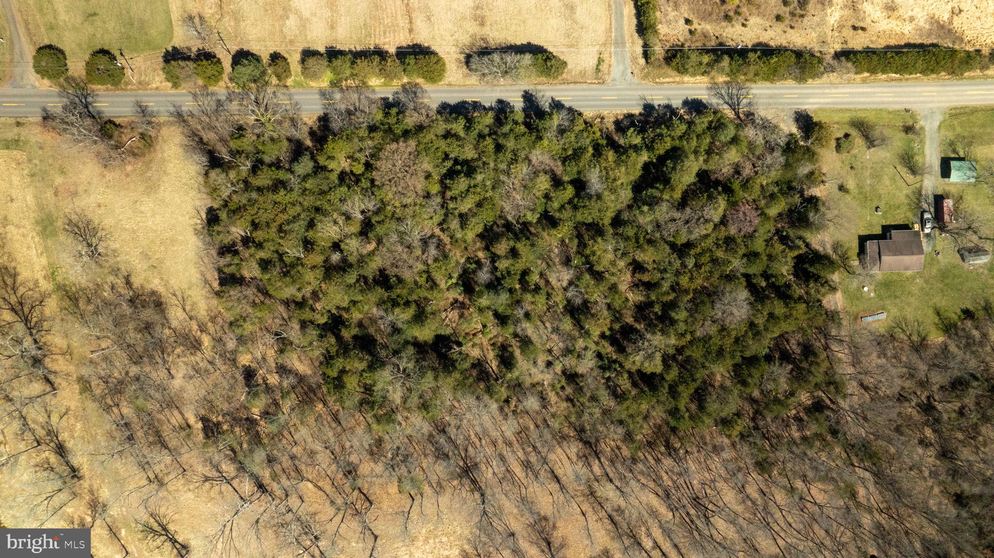 8772 Old Dumfries Road Catlett, VA 20119 - Photo 15 of 20 a view of a lake with houses