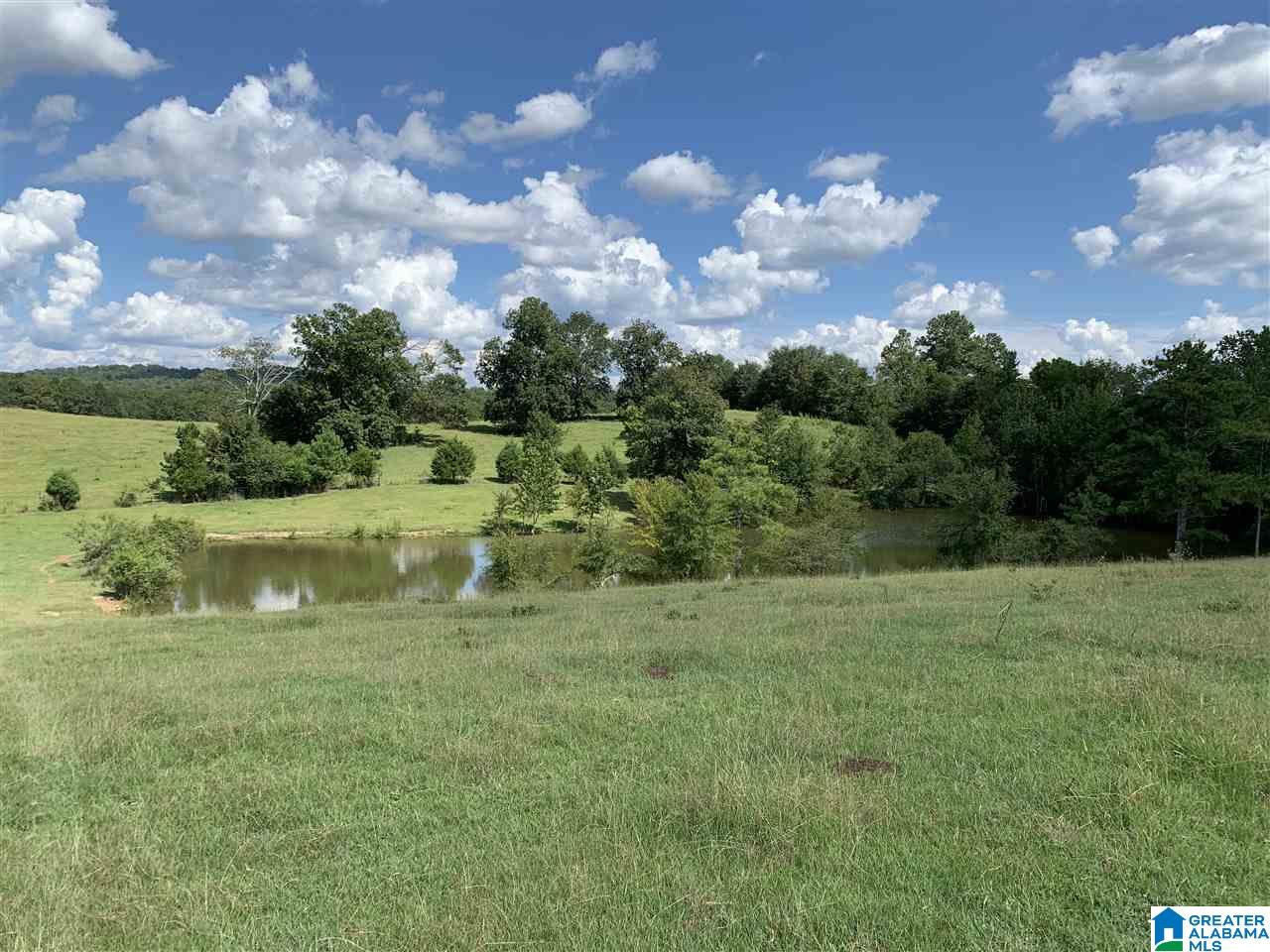 11392 Stemley Road Lincoln, AL 35096 - Photo 23 of 25