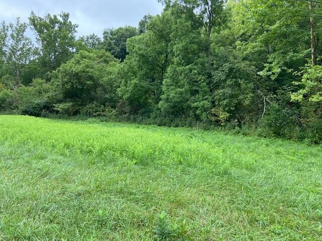 2197 Brooksville Chatham Road Augusta, KY 41002 - Photo 21 of 34 Gallery Image 21