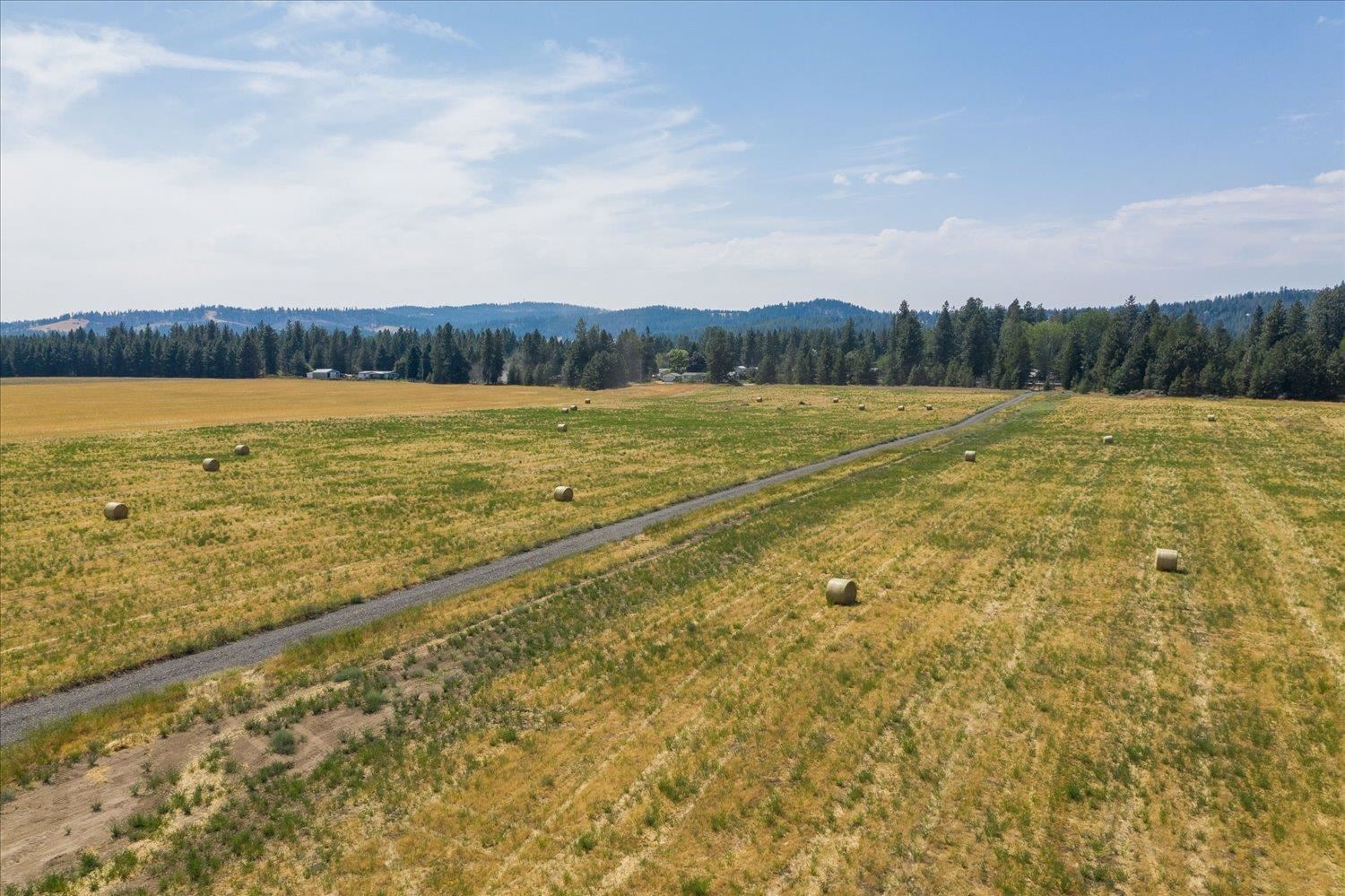 20-xxx North Cedar Road, Unit TRACT D Colbert, WA 99005 - Photo 23 of 27