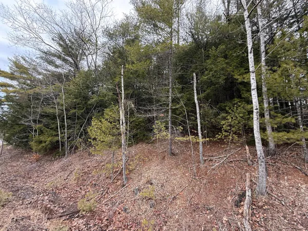 $70,000 | M43-l6 Shady Nook Road, West Newfield, ME 04095