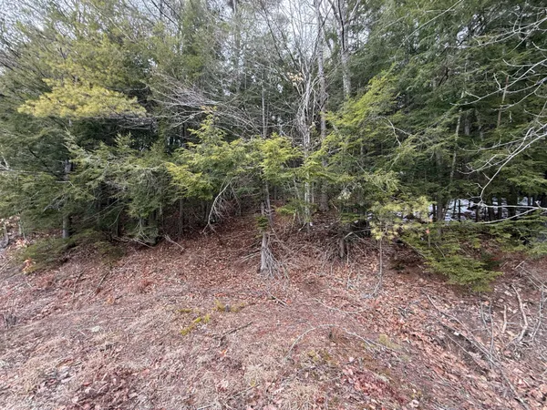 $70,000 | M43-l6 Shady Nook Road, West Newfield, ME 04095