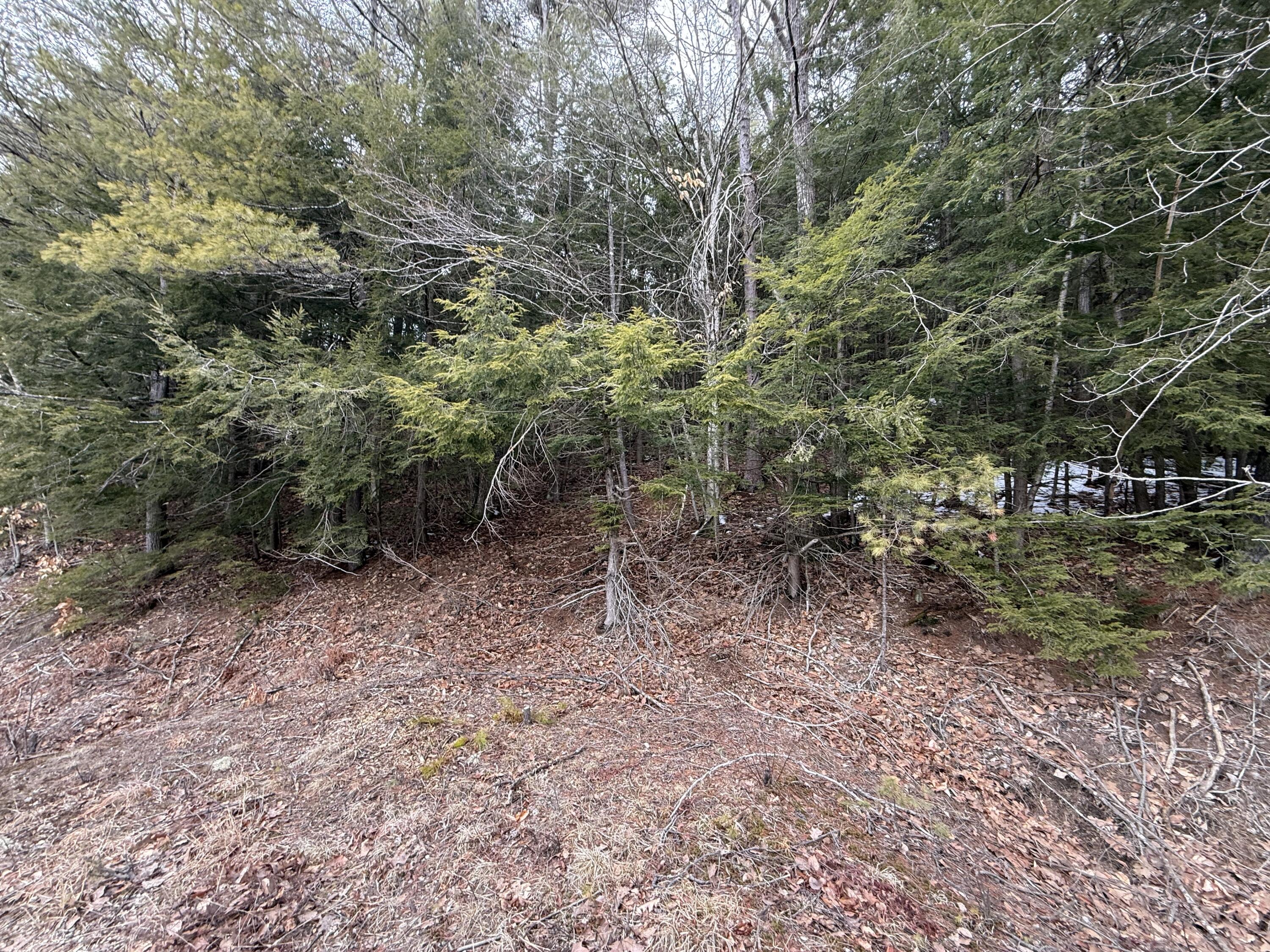 M43-l6 Shady Nook Road West Newfield, ME 04095 - Photo 3 of 4 IMG_6161 (002)