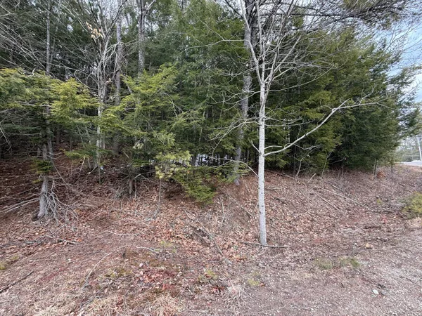 $70,000 | M43-l6 Shady Nook Road, West Newfield, ME 04095