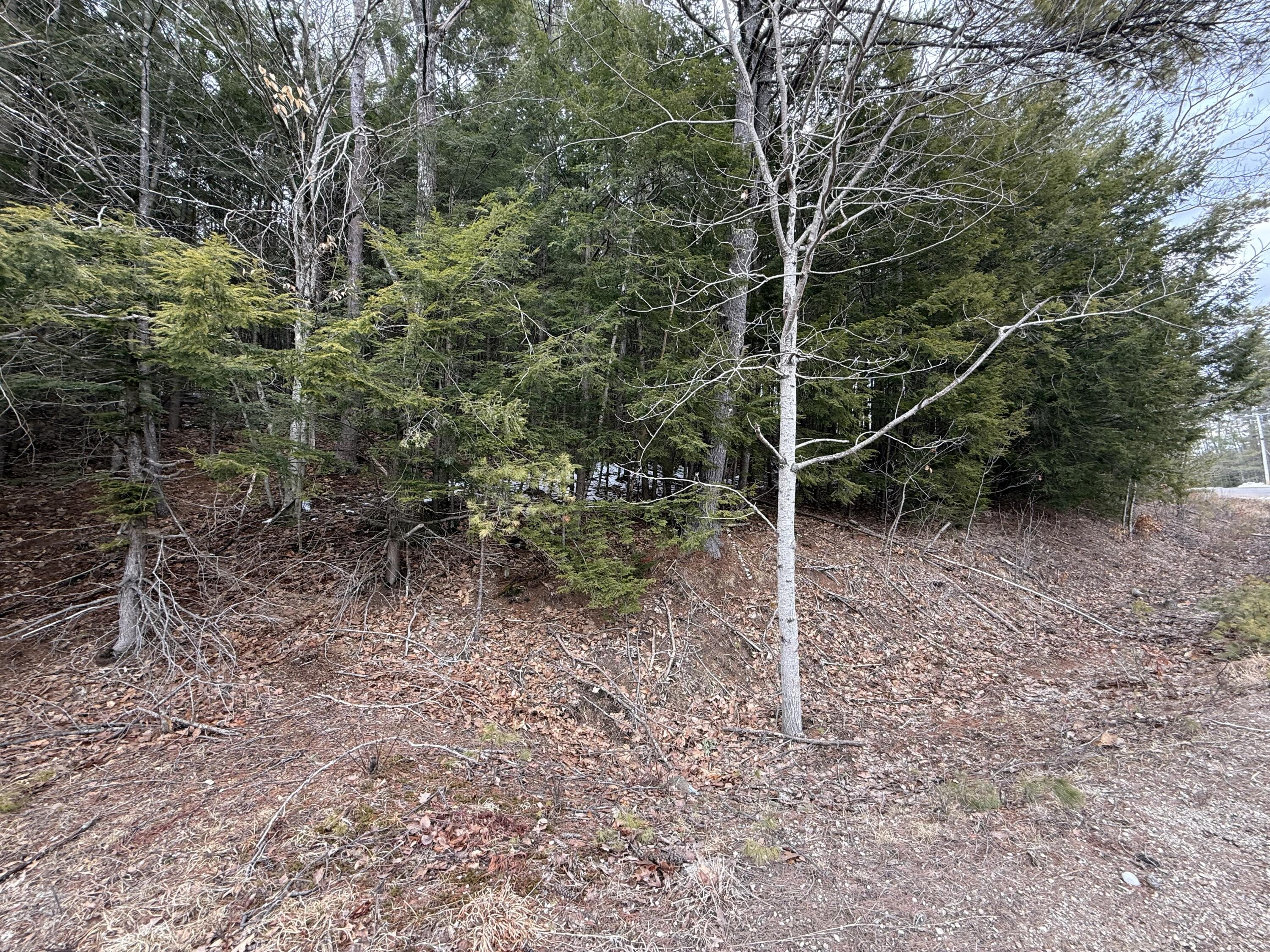 M43-l6 Shady Nook Road West Newfield, ME 04095 - Photo 4 of 4 IMG_6162 (002)
