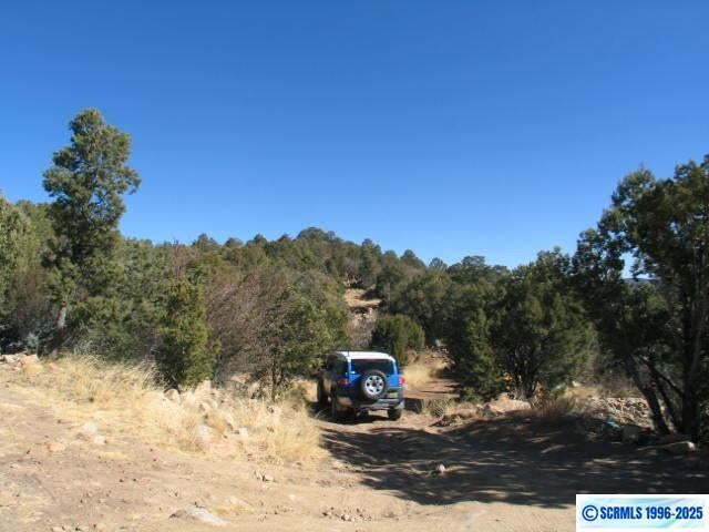 9 Radio Tower Road Silver City, NM 88053 - Photo 12 of 30 Gallery Image 12