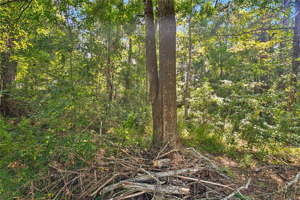 930 Labarre Street Mandeville, LA 70448 - Photo 18 of 18 Gallery Image 18