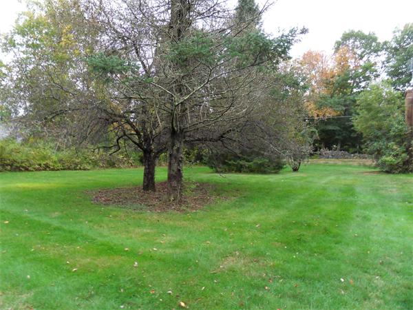 57 Tuft Hill Road Thompson, CT 06255 - Photo 28 of 29 Gallery Image 28