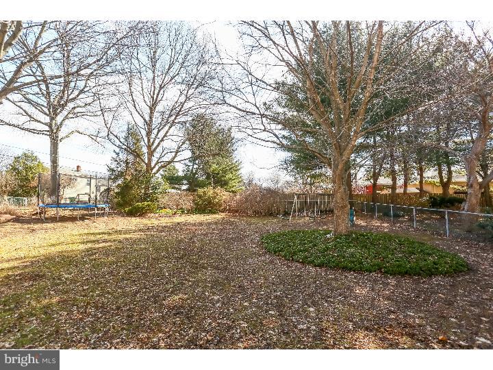 205 Moore Road Wallingford, PA 19086 - Photo 22 of 25 Back Yard