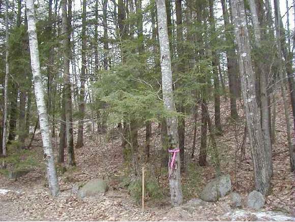 0 Call Road Webster, NH 03278 - Photo 1 of 1
