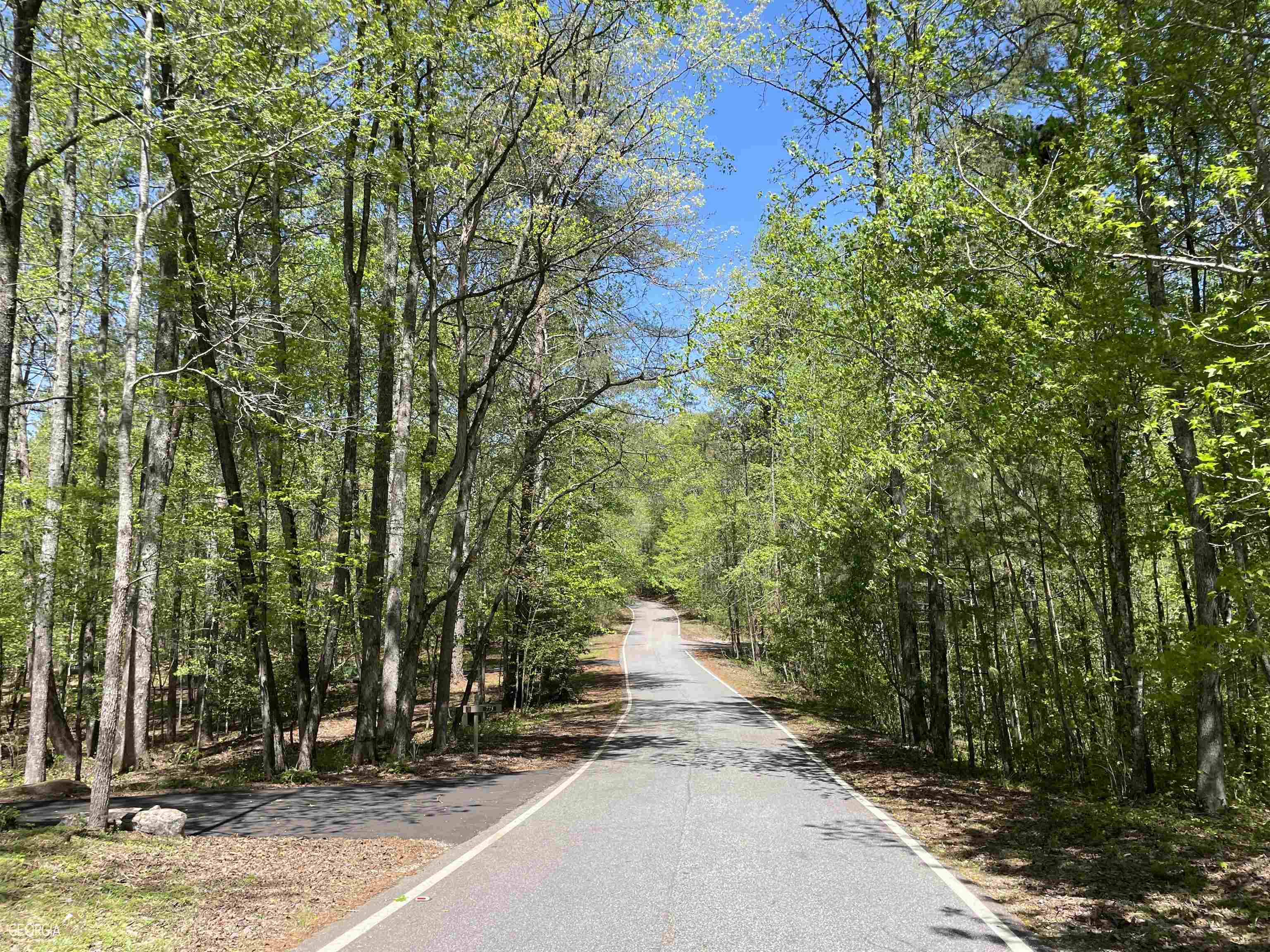 22398 Still Spring, Unit LOT 4870 Marble Hill, GA 30148 - Photo 6 of 9 a view of a street with trees on both side of it