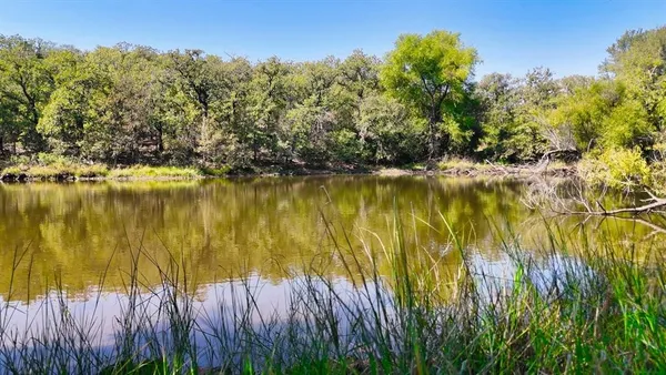 a view of an ocean with a trees in the background