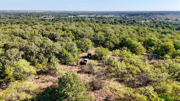 a view of a green field with lots of bushes