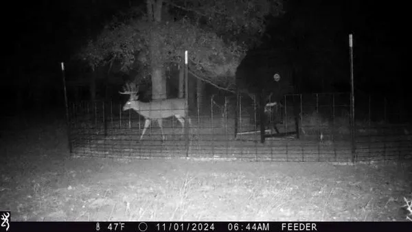 a view of a yard with an outdoor space