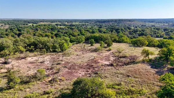 a view of a dry yard