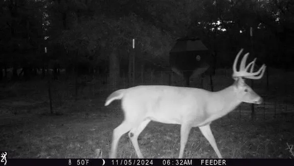 a close view of washer and dryer